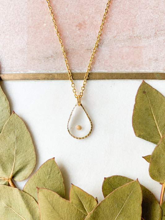 Mustard Seed Oval Necklace in 14K Gold | Christian Faith Jewelry | Dainty Mustard Seed Pendant | Religious Gift for Women | Matthew 17:20